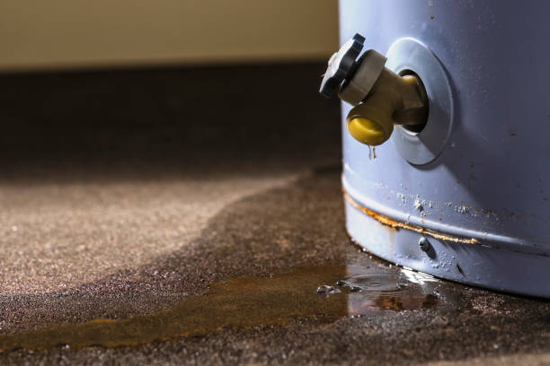 Reliable MI Water damage restoration Solutions