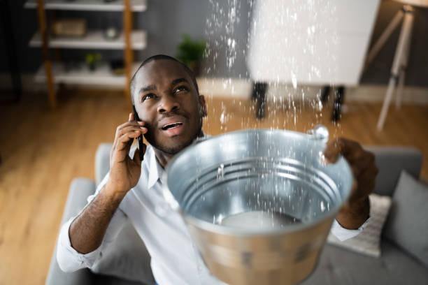 Best Local water damage restoration  in Clawson, MI