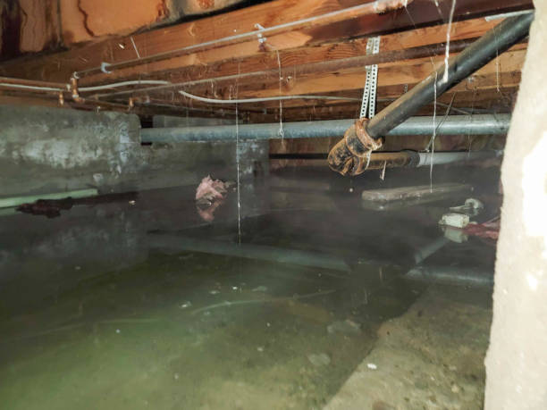 Best Water damage restoration near me  in Clawson, MI
