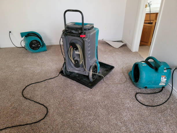 Water damage restoration experts in MI