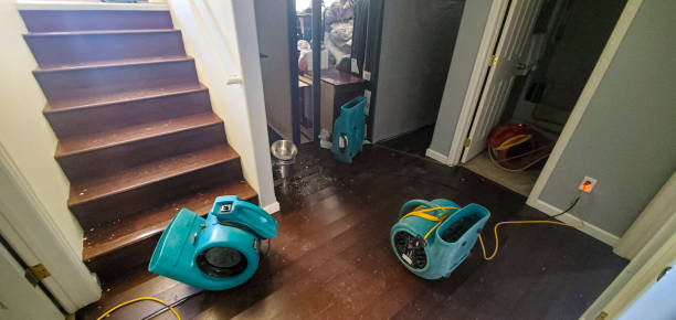 Best Flood damage cleanup  in Clawson, MI