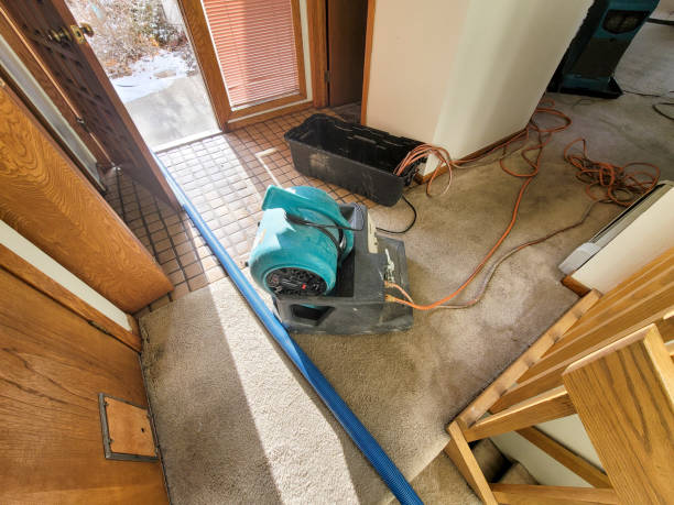 Local water damage restoration in MI