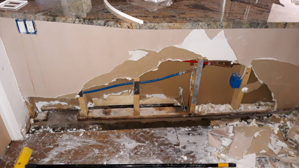 Best Carpet water damage restoration  in Clawson, MI