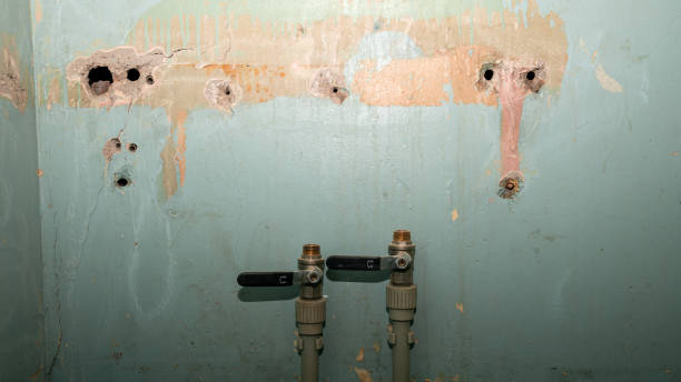 Best Mold removal after water damage  in Clawson, MI
